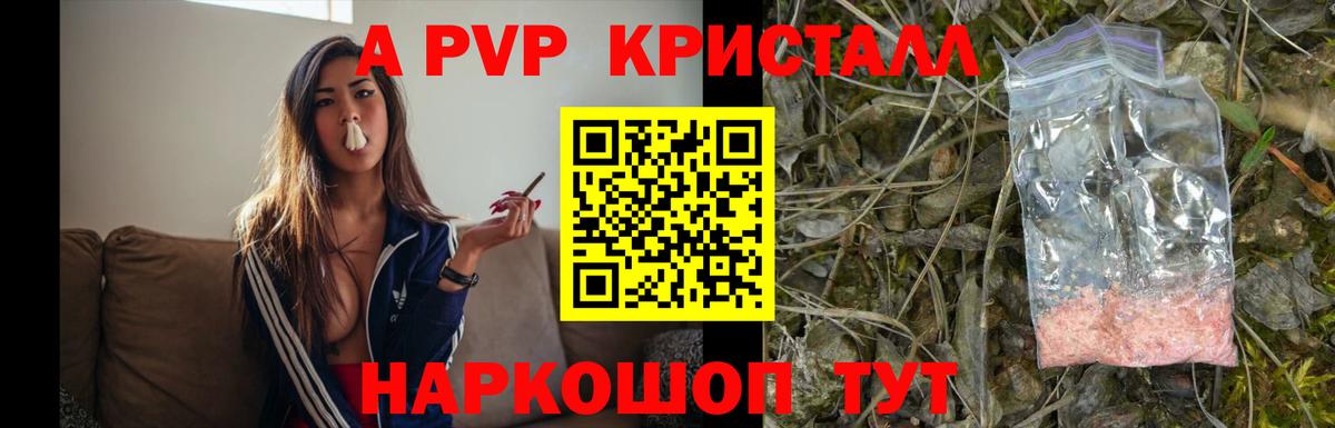 А ПВП крисы CK  Alpha-PVP Crystall  Вход с VPN  Кингисепп  купить наркоту  Alpha PVP Crystall 