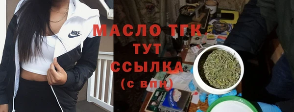 дживик Надым