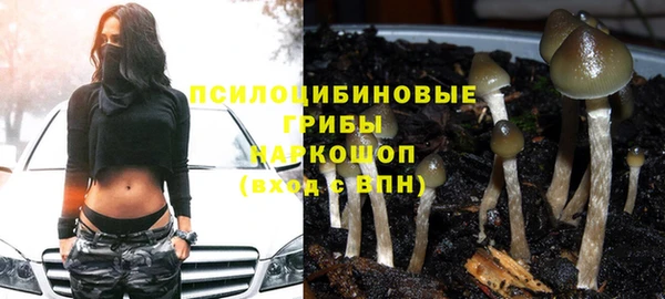 ПСИЛОЦИБИНОВЫЕ ГРИБЫ Нефтегорск