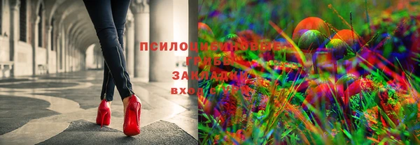 тгк Верея