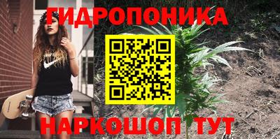 каннабис Дубна