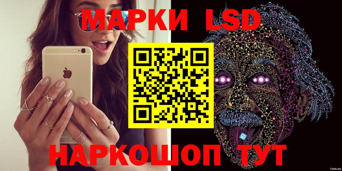 Конопля Кингисепп