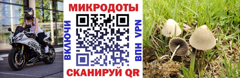 гидра ONION  Кингисепп  Галлюциногенные грибы Cubensis 