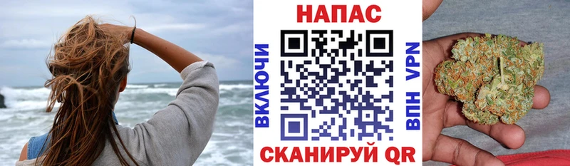 сколько стоит  Кингисепп  Канабис White Widow 